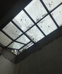 450+100��԰��ѡ�������׵����ʦ��20���ˮƯ��