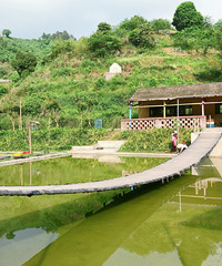 ͥԺ԰ޣץз¶Ӫտˣ̫