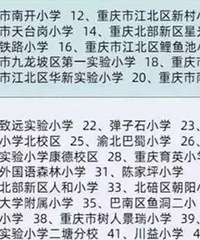 据说这是重庆市小学排名的民间版本,歇台子小学居然在四梯队?
