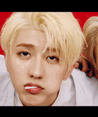 ѡ���Ŀѵ��������־��Ƭ���ȿֲ�Ƭ������