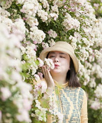 1小时到没有人的玫瑰花海,正值花期,怎么拍都美