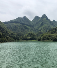 风吹岭对面,玩到完全不一样的露营,搬螃蟹采笋子,划船钓鱼