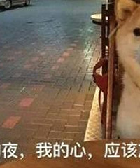晒生活账单,月薪7000+还要养房的单身狗每年还能存几万