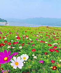 �����ɣ������������ʢ���ڣ��Լ�40���Ӿ͵�