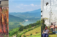 2Сʱũׯ羰ˣ¶࣬Ÿ