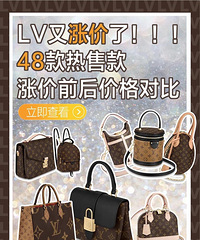 LV 48款热门款包包,涨价前后价格对比!