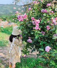 ����һСʱ���ܵ���õ��԰��������һ�η�ʽ���ˣ�Ʒ�ֳ���������