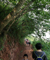 ���Բȵ���������������򣬴��·���������տ�