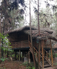 ϴκõطз糵޲ݣСݣһ̫