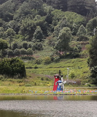 ϴ�κõط������з糵�����޲ݣ��������С�ݣ������һ��̫���