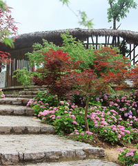 ���ǿ�����ĺõط�������Ұ�͵��������������տ�