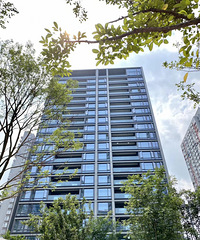 Ƚ�ҰӺ�լ�m԰������Ƭ����ͥ������֣���˵�����򳡴�Ĳ�ƺ