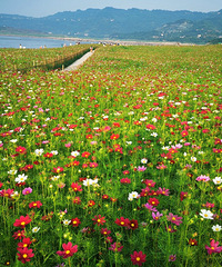 Ϧµİľӽ֣һ޼ʵĸɣ