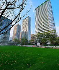 冉家坝豪宅蘭园最新照片,中庭景象初现,传说中足球场大的草坪