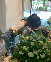 带娃去坐茶馆,学茶文化