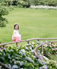 �������ܶ�ȥ������ɽ�磬����Ϊ�˿�����Ƭ�Ĵ���գ����ճ�����