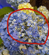 ��������úõ�����ͻȻ�����ˣ�������������ô����ѽ��