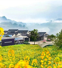管管踩盘之田园牧歌:重庆居然有80平的中式合院,买房送田