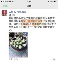 报名通知 ! 以下四所小学开始登记,目标校家长抓紧报名