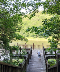 40����Ӿ͵���ˣˮ�أ���С�з��Ϻ�ף����ܵ���ɢ��