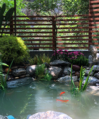 С԰μǣ10ɻ԰죬 СѼ䡰족