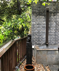 С԰μǣ10ɻ԰죬 СѼ䡰족