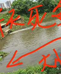 ҪǮҰСϺľҰ۲ˣˣ