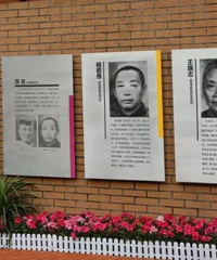 2020年重庆树人立德小学开始新生预登记了,截止5月31日