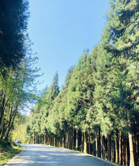 看攻略找到重庆当天往返的“避世村落”,凉快风景好还能露营