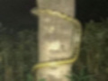 �ڻ�뵺����С��