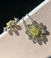 �յ����Ϲ��Ľ������վ�ϲ�����Ķ��Ѿõ�С����������̫������