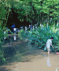 重庆耍水地图来了,这些地方凉快安逸还免费,主城就有不少