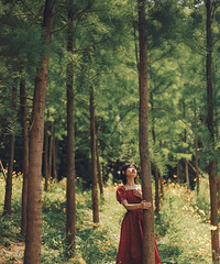 必打卡的紫色花海,给你一大片普罗旺斯重庆分斯