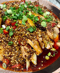 ֱ�۵ı�����ƹݣ�ϲ�������˺�ơ�ƵĿ�����