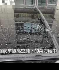 Ů�������ѳ��ܴ�40¥�Ӳ˵�����200��·�����̾�