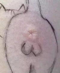 ������ҧ�ˣ���һ����ʮ���ְ�����ӡ���������