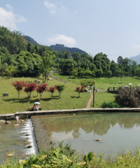 1个半小时到的拍照耍水地,民宿和风景都不错,遛娃遛宠都OK