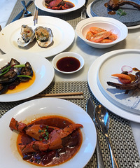 ����Ƶ꺣����������������