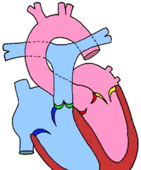 34��Ů���콡����������ͣ��Ѫ������ˣ�һȺ�˴�������������
