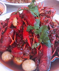 ���ĵĵ�һ��С��Ϻζ���ȶ�Ʒ�ʺã��Ե��Һ�����