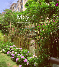5月花事:记录下花园里的无尽夏,开得太好还包了几束送朋友