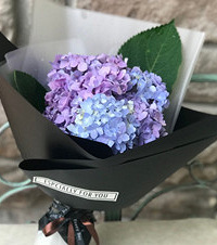 5�»��£���¼�»�԰����޾��ģ�����̫�û����˼���������