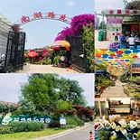 重庆4家宝藏花市攻略