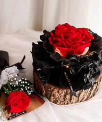 �ҵ�520�������أ�ȴ����