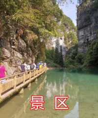 带着狗子耍武隆仙女山,酒店风景居然比景区值得看,出片太美