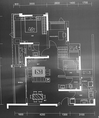 150��Ҫ������+���+ѧ��+����������20�������ѡ������