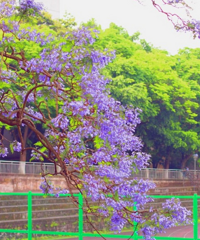 ������ȫ�������ָ�ϣ����մ򿨳������ղ����˰�