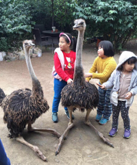 必须预约的私人园林,幼童吃饭免费,喝茶散步周末休息的好地方
