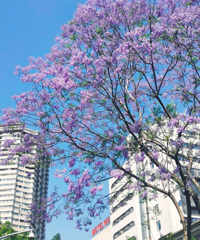 ������ȫ�������ָ�ϣ����մ򿨳������ղ����˰�