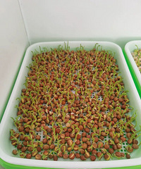 һ���ջ�ѿ��ˣ�ĳ������ֲ���������